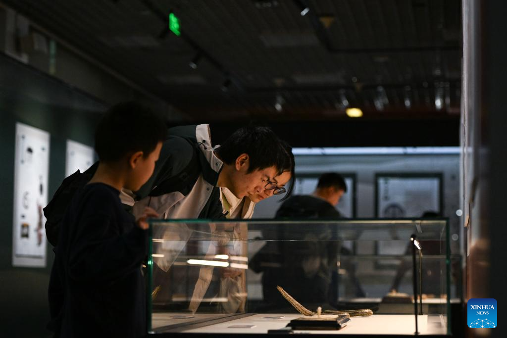 Snake themed exhibition held at Natural History Museum of China in Beijing