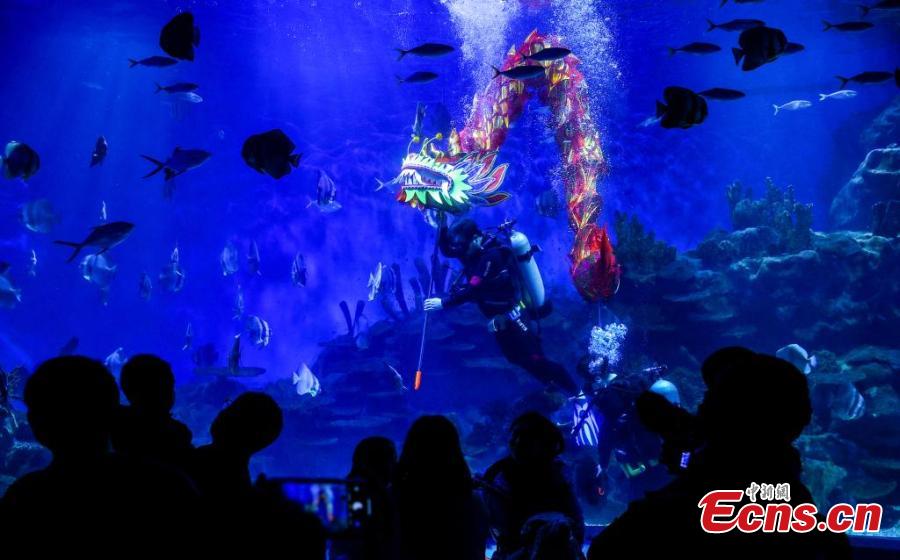 Central China's Hubei stages underwater dragon dance to welcome Spring Festival